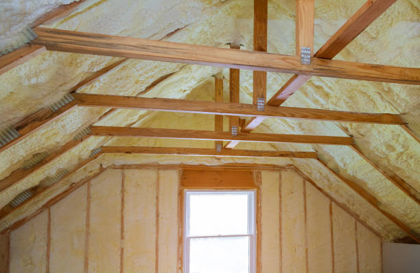 Best Insulation Replacement Services  in Gretna, NE