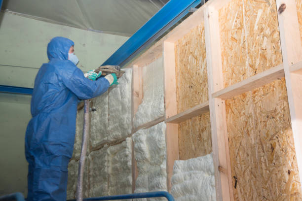 Insulation Replacement Services in Gretna, NE