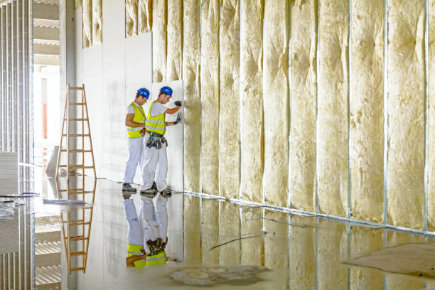 Best Insulation Repair Services  in Gretna, NE